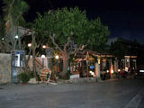 Kactus cafe & taverna
